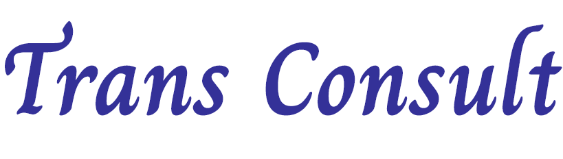 Trans Consult logo